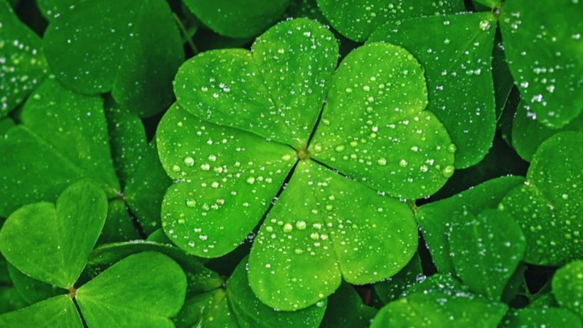 Bu Kişiler İçin Gün Boyu Sürecek! Pazartesi Hiç Bu Kadar Sevilmemişti