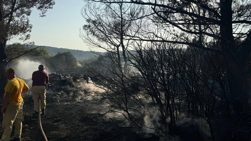 İzmir'de Orman Yangınına Sebep Olan Kişi Tutuklandı