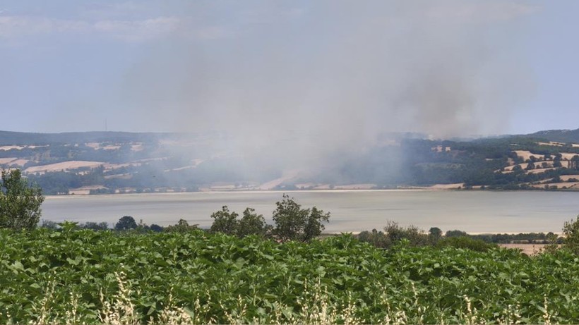 Edirne’deki Orman Yangını Kontrol Altında
