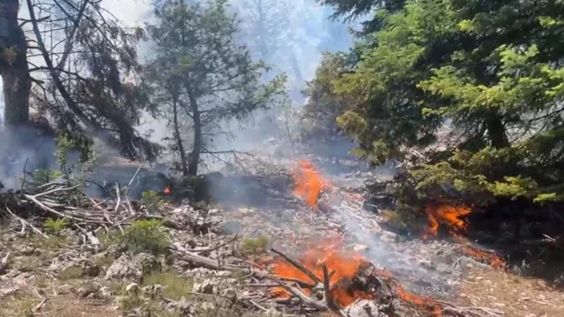 Mersin'de Korkutan Orman Yangını