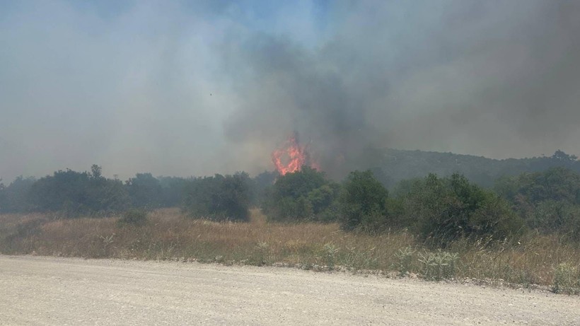 Balıkesir'de Korkutan Orman Yangını