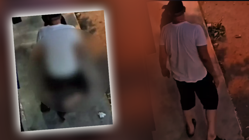 Pendik’te Köpeğe Mide Bulandıran Cinsel İstismar! Sokak Ortasında Dehşeti Yaşattı