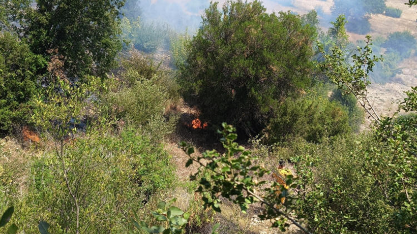 Antalya'daki Orman Yangını Kontrol Altına Alındı