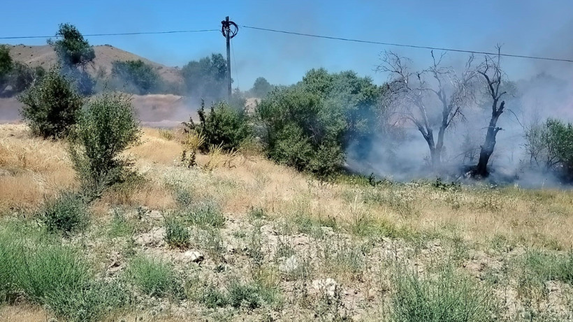 Elazığ'da Otluk ve Ağaçlık Alanda Yangın: Ekipler Seferber Oldu