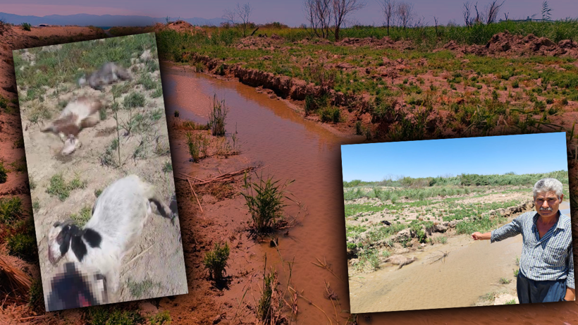 Hatay’da Yangından Sonra Bir Felaket Daha Alarm Verdi! 15 Dakikada 40’ı Birden Öldü… Sebebi Ne Duman Ne de Alev