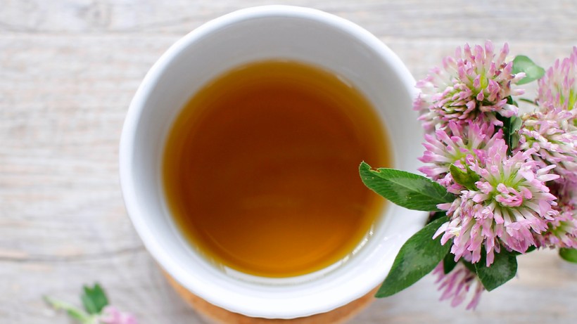 Ne Siyah Çay Ne Yeşil Çay Ne Matcha! Cilde ve Kalbe Reset Atıyor, Vücudu Toparlıyor