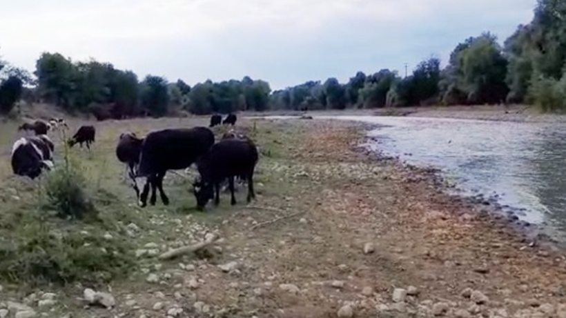 Sakarya’da Alarm! Kirli Dere Tehlike Saçıyor