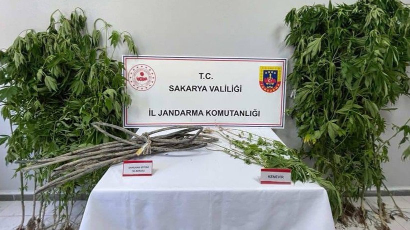 Sakarya'da Uyuşturucu Operasyonu: 1 Kişi Tutuklandı
