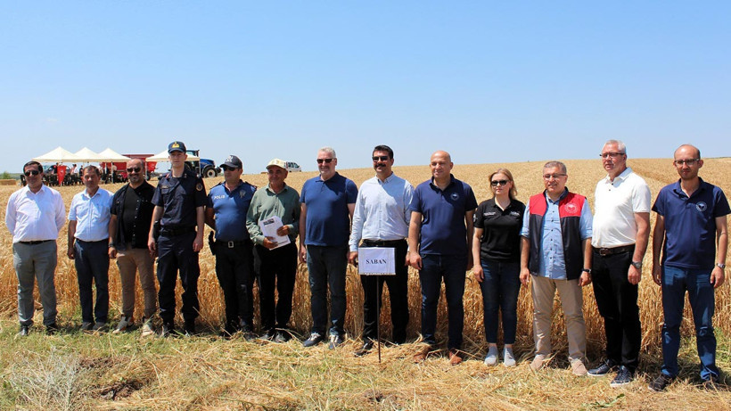 Kırklareli'nde Yerli ve Milli Buğday Hasadı 