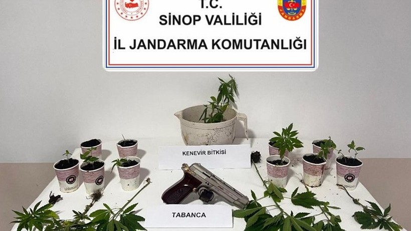 Sinop’ta Kenevir Operasyonu: 4 Kişiye Adli İşlem