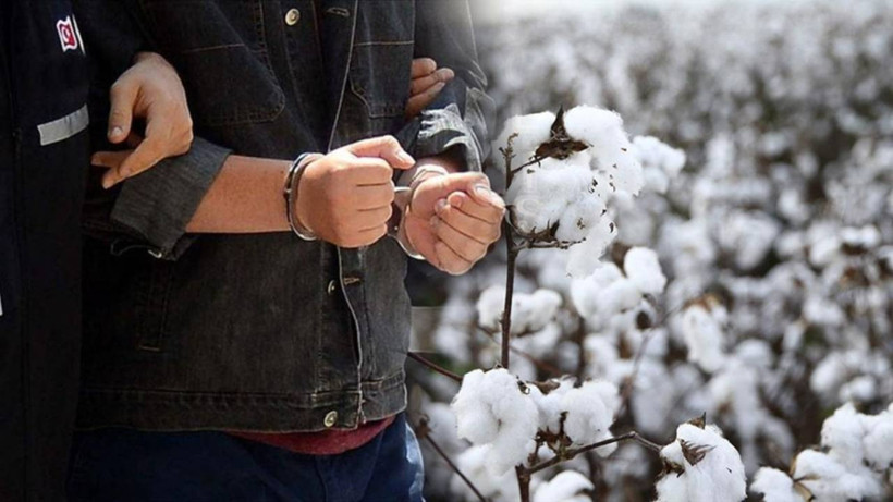 Pamuk Görünümlü Dolandırıcılık: Devletten 248 Milyon Lira Haksız Kazanç Sağladılar