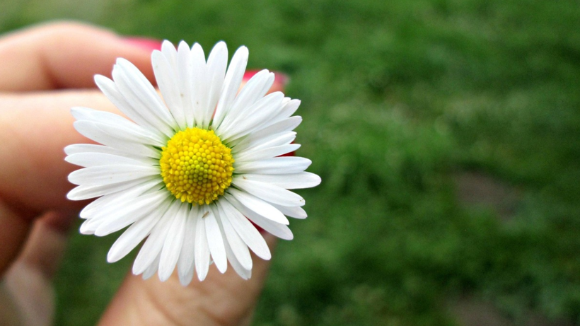 O Tarihte Yıldızlar Bu Burcun Yüzüne Gülecek