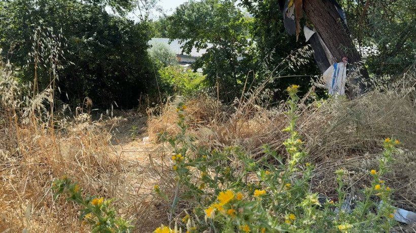 Avcılar’da Kayıp Olarak Aranan Kişi Otluk Alanda Ölü Bulundu