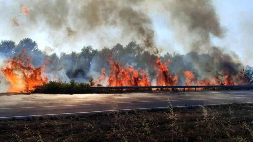 Sakarya’da Yol Kenarındaki Yangın Paniğe Neden Oldu