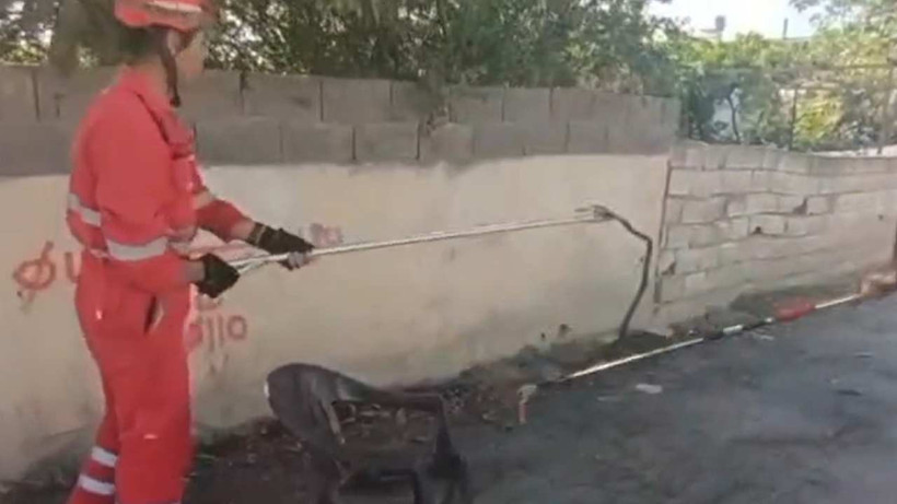 Evin bahçesine giren yılanı itfaiye yakaladı
