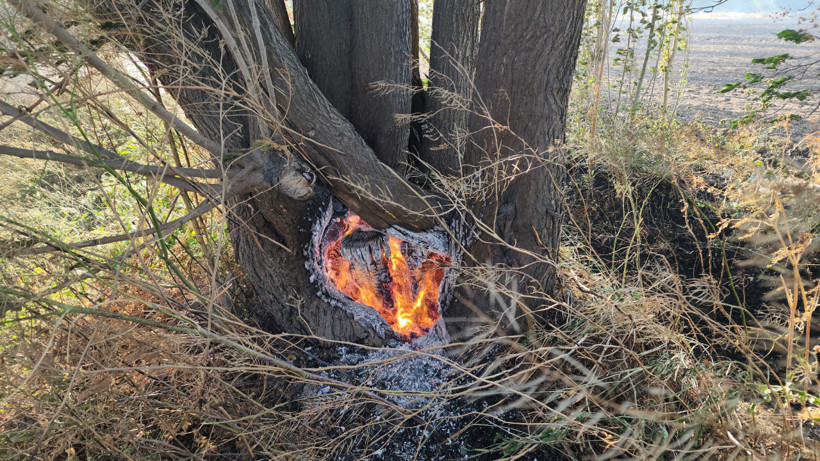Amasya'da Ormana Sıçrayan Yangın Söndürüldü