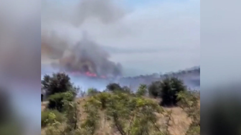 Bursa Karacabey’de Sazlık Alanda Yangın