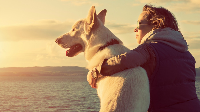 Köpekler ve Sahipleri Birbirlerine Benziyor mu? Bilimsel Kanıt Ortaya Kondu