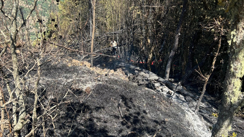 Kastamonu'da Çıkan Orman Yangınında 2 Dekar Alan Zarar Gördü