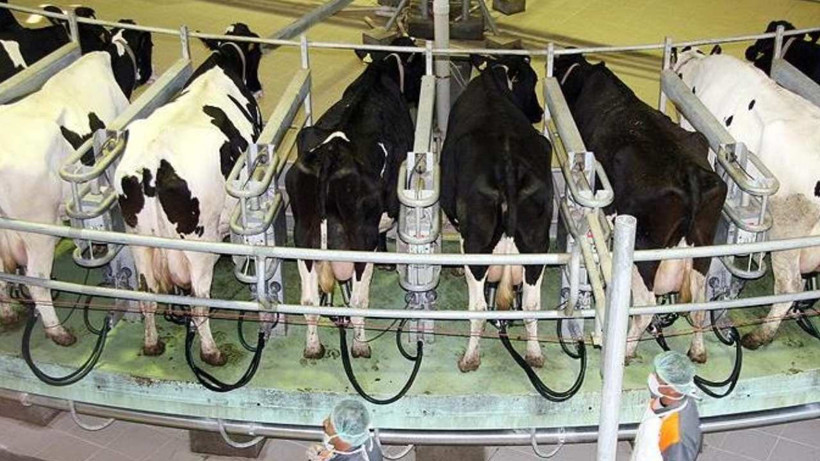 Süt Fiyatı Üreticiyi Değil Sanayiciyi Sevindirdi