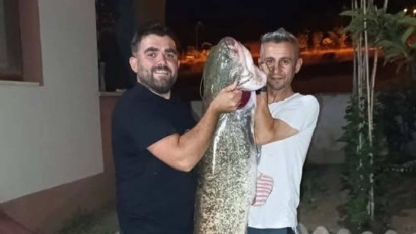 Bilecik'te Dev Yayın Balığını Tutuldu