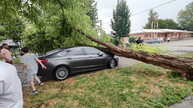 Çivril’de Fırtına Faciası: Ağaç Otomobilin Üzerine Devrildi