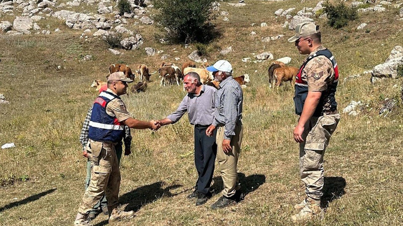 Erzincan Üzümlü’de Kayıp 17 Büyükbaş Hayvan Jandarma Tarafından Bulundu