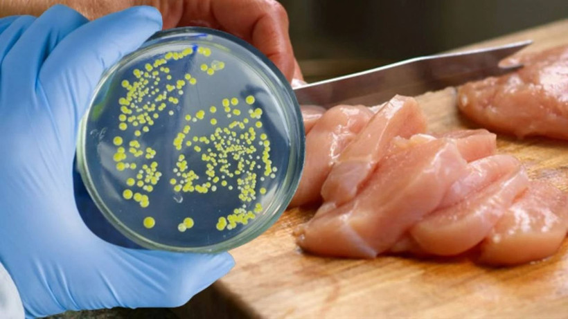 Bulantı, Kusma, Ateş, İshal... Yazın Sessiz Tehlikesi, Gıdalardaki Gizli Düşman! Uzmanından Kritik Uyarılar