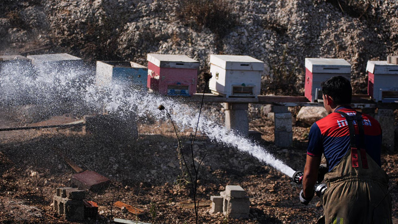 İzmir'de Otluk Alanda Çıkan Yangın Söndürüldü