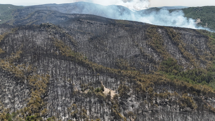 Eskişehir Seyitgazi’de Orman Yangını: Küle Dönen Alan Dronla Görüntülendi