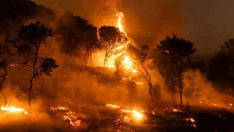 Sorumlular Tek Tek Belirlendi! 61 Orman Yangınıyla İlgili 4 Tutuklama