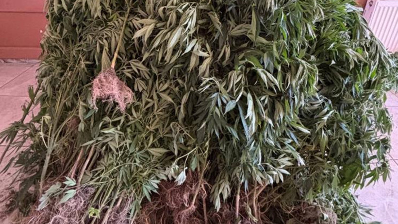 Aydın’da Zehir Tacirlerine Operasyon