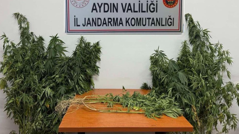 Aydın'da Uyuşturucu Operasyonu: Çok Sayıda Uyuşturucu Madde Ele Geçirildi