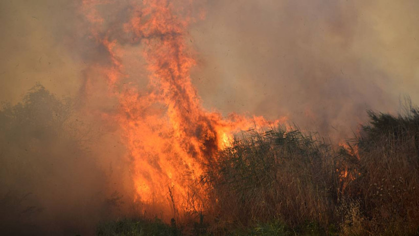 Başkentte Orman Yangını Alarmı! Yasaklar Genişletildi
