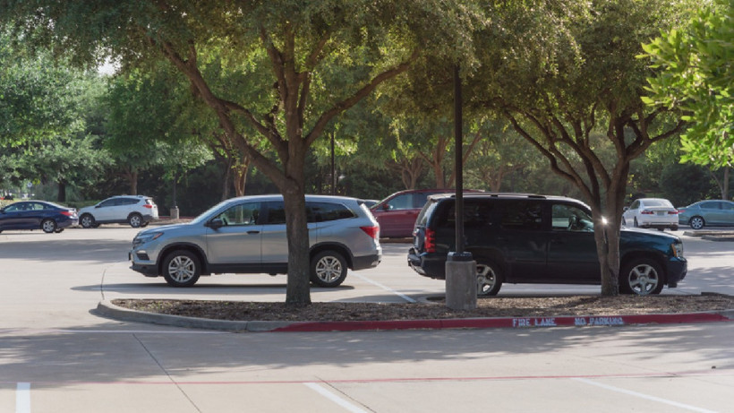 Gölge Diye Aracınızı Sakın Bu Ağaçların Altına Park Etmeyin! Yüz Binlerce Lira Zarara Uğrayabilirsiniz