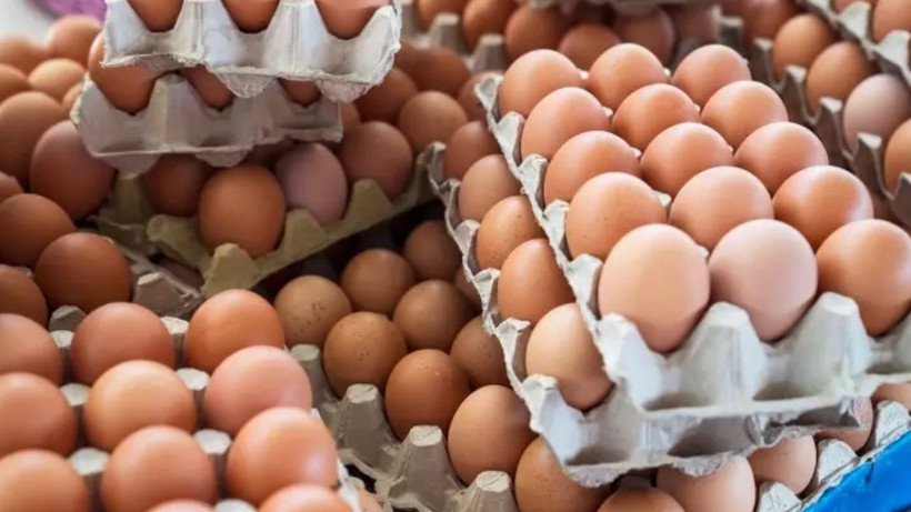 FETÖ Soruşturmasında Yeni Adres! HAKMAR ve BAKTAT’tan Sonra Ünlü Yumurta Devine de Kayyım Atandı