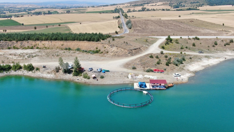 Kafesler Patladı, Verim 2’ye Katlandı: Duyan Herkes Soluğu Orada Aldı