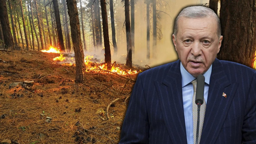 Yangınlarla Mücadelede Son Durum Ne? Cumhurbaşkanı Erdoğan Açıkladı