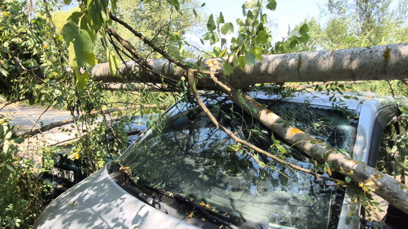 Bartın’da Devrilen Ağaç 4 Araca Zarar Verdi