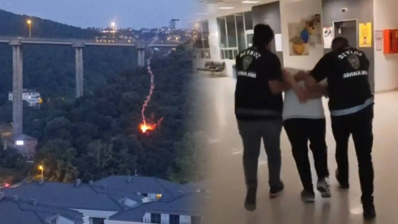 Beykoz'da Orman Yangınına Yol Açmıştı: İşaret Fişeğini Ateşleyen Şüpheli Tutuklandı