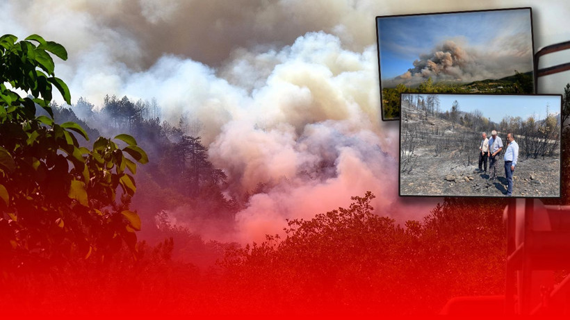 Uzmanı Alanı İnceleyip Açıkladı! İşte Karabük’teki Orman Yangınını Büyüten Gizli Tehlike…