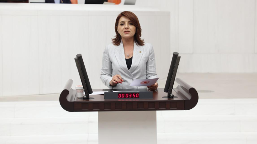 CHP Mersin Milletvekili Gülcan Kış’tan Akbelen Kavşağı Tepkisi: 'İhale Var, Firma Var, Yol Yok'