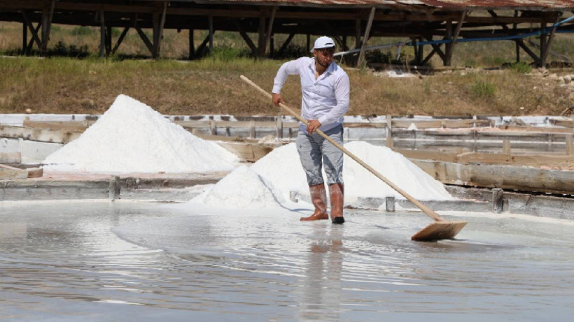 Yerin 7 Metre Altından Çıkıyor, 100 Havuzda Bekletiliyor: Beyaz Atının Her Damlası Servet Değeri Taşıyor