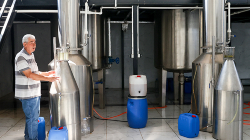 Kıraç Araziler Mor Hasatla Değerlendikçe Değerlendi! Hasat Üstüne Hasat Ediyorlar, 2500 Liraya Satıyor