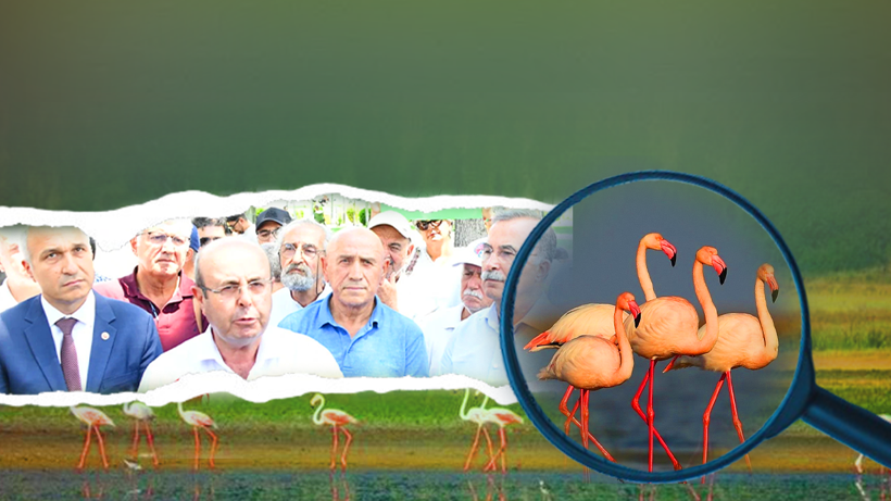 Zeytinliklerden Sonra Rant Uğruna Bir Katliam Daha! 'Cennet'in Kapısı Siyanüre Açılıyor… Altın Uğruna Büyük Kıyım