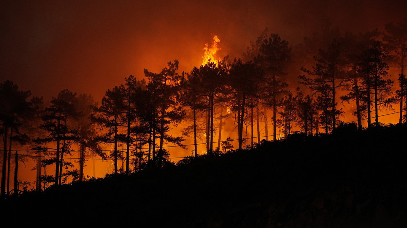 Yeşil Vatan İçin Kritik Uyarı! Yangın Riski Yüksek Seviyede