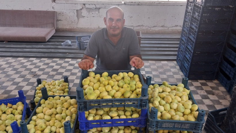 Bal Damlayan Hasat Başladı! Rekolte Düşse de Fiyatı Yetti