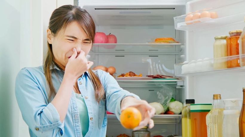 Gıda Uzmanları Büyük Hatayı Açıkladı: Buzdolabındaki Yiyeceklerinizi İki Kat Hızlı Çürütüyor