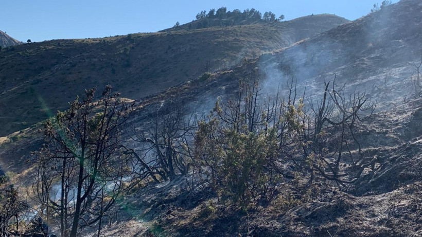Erzurum'da Çıkan Örtü Yangını Söndürüldü