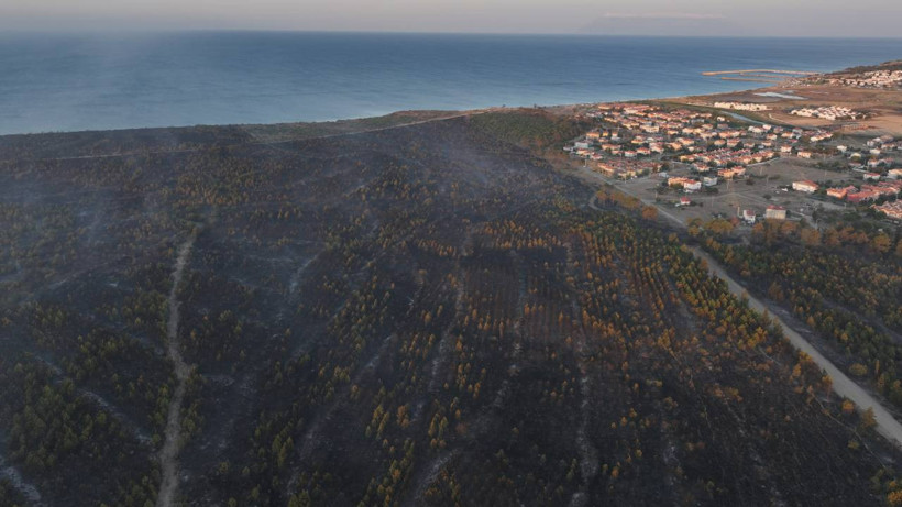 Binlerce Kişi Tahliye Edilmişti... Edirne'den Yürek Yakan Görüntüler: Yemyeşil Ormanlar Kömür Karasına Döndü